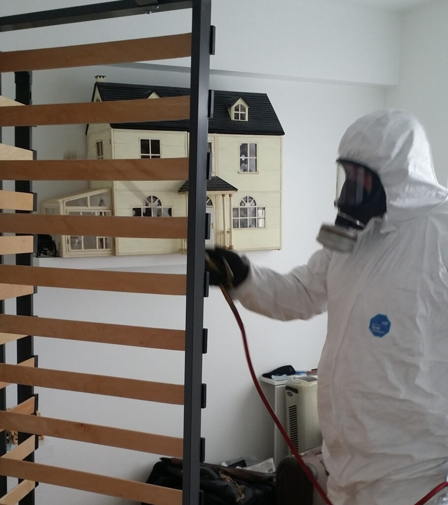 Traitement punaises de lits