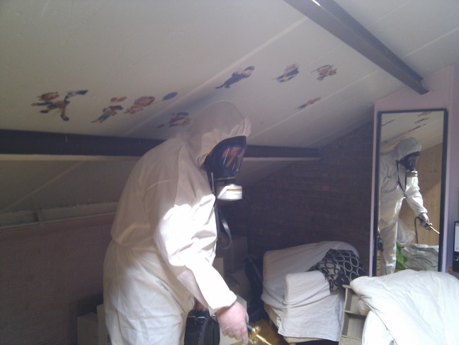 traitement punaises de lits